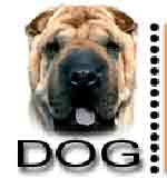 dog.ru